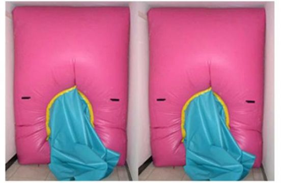 點擊查看詳細信息<br>標題：快速封堵氣囊 閱讀次數(shù)：2781