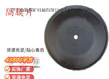 點擊查看詳細信息<br>標題：氣動隔膜泵配件-隔膜片 閱讀次數：365