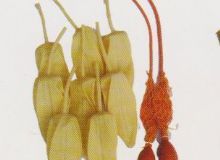 點擊查看詳細信息<br>標題：取氣樣球膽 閱讀次數：290